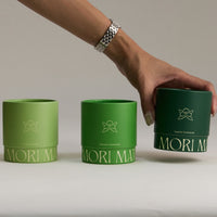 Okumidori - Superior Ceremonial Matcha