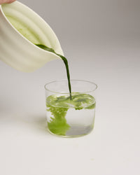 Mori Matcha Bowl